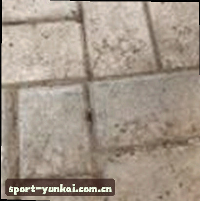 周婷